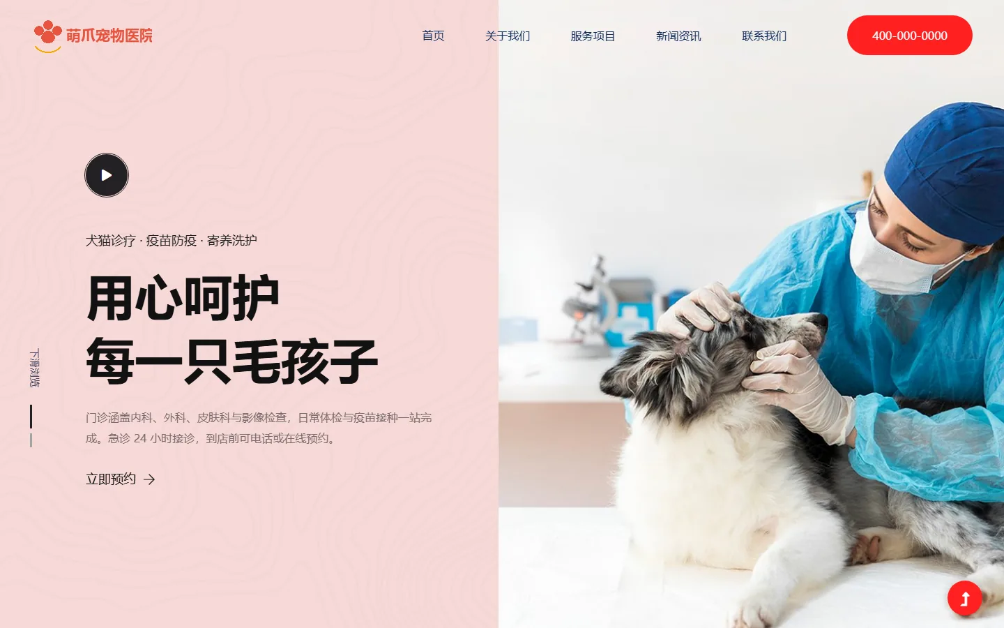 宠物医院官网模板的页面效果